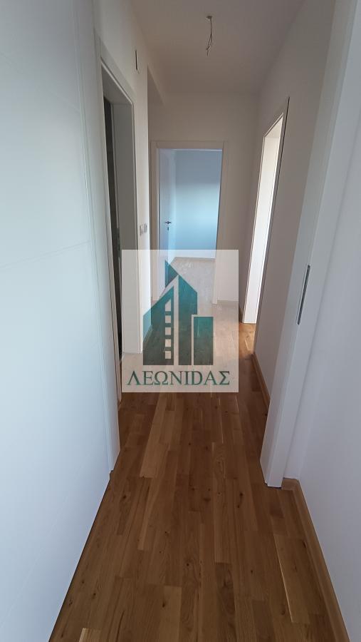 2.5 stan na Panteleju