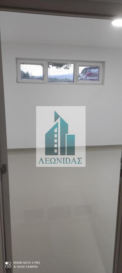 Nov 2.0 stan, Somborska, Pantelej