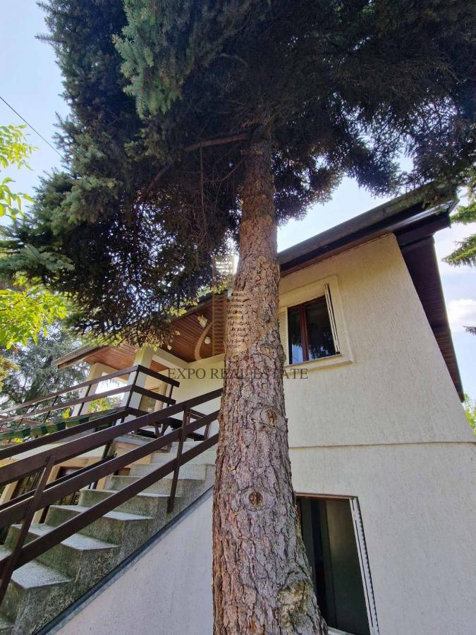 Kuća 290m2 na 10a placa - Ralja -Sopot-Popović