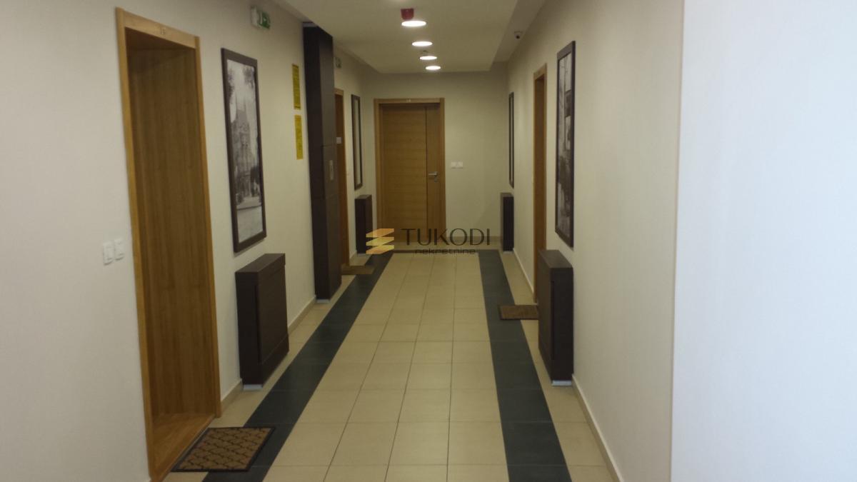 Lux 2.0 stan na Dorćolu