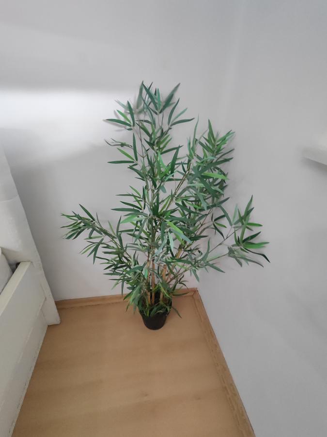 Namešten jednosoban stan kod Maksija/Tabane