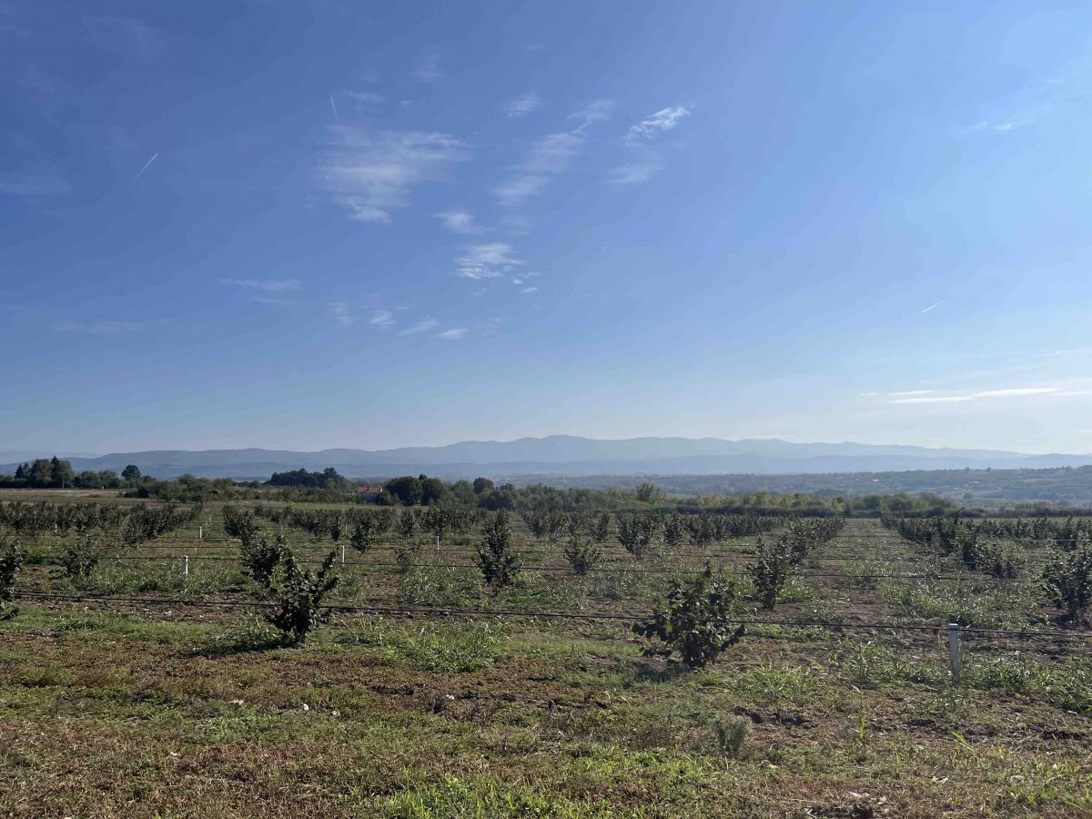 Vikendica sa prelepim pogledom okružena zelenilom.