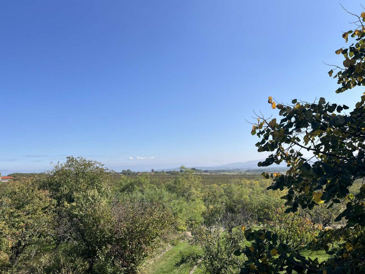 Vikendica sa prelepim pogledom okružena zelenilom.