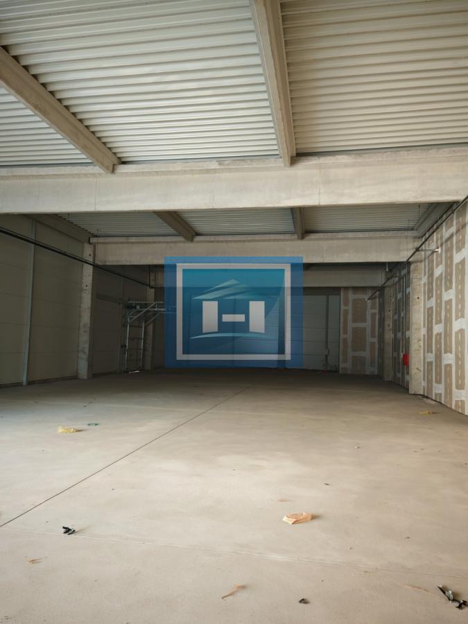 Lokal za izdavanje u ulici Vojvode Mišića od 582m2