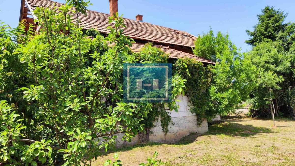 Domaćinstvo u okolini Jagodine sa 4 objekta na prostarom placu od 47 ari