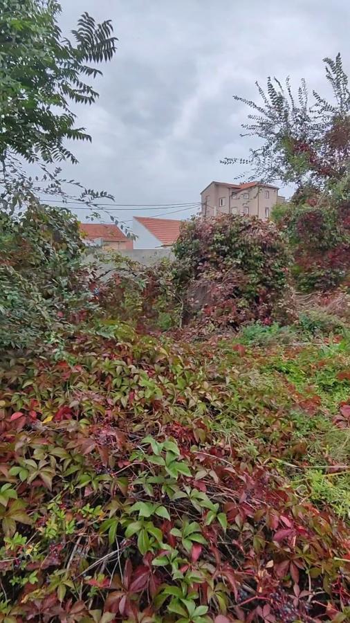 Stambeni i poslovni objekat sa dva lokala na placu od 4.6 ari u ulici Kneza Lazara u Jagodini