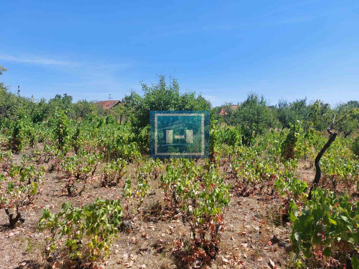 Vinograd -plac u gradjevinskom području