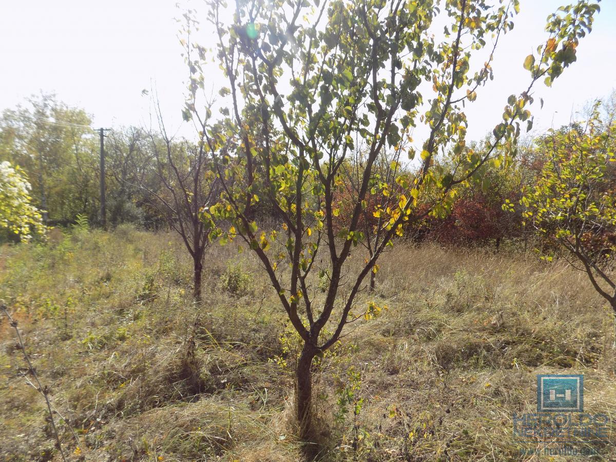 Vikend kuća na prodaju sa većim placem