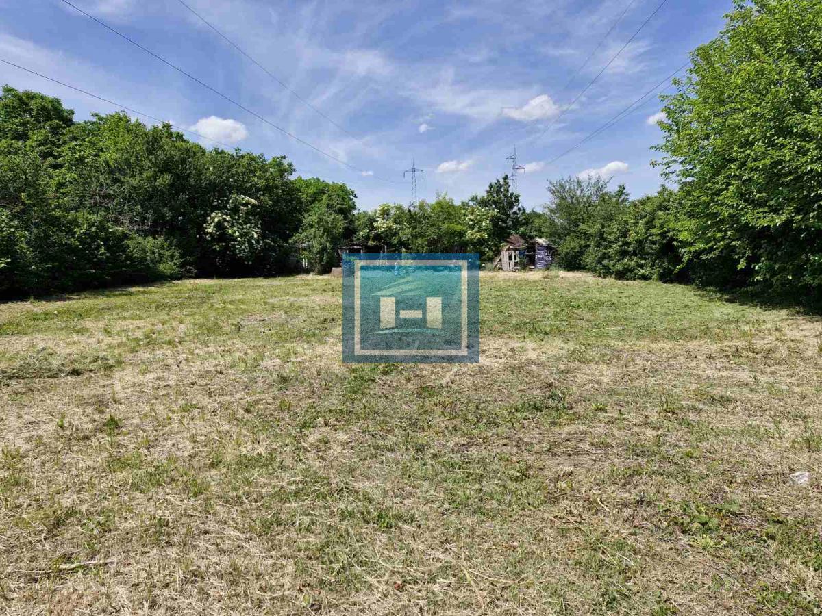 Plac na Sarinoj medji -Kupusara