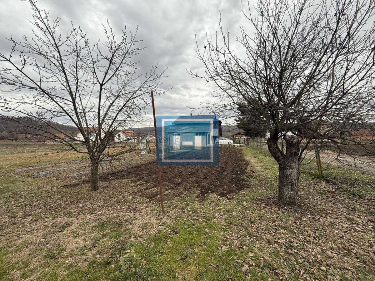 Dve kuće u Glavincima sa velikim imanjem -samo 8 km od grada