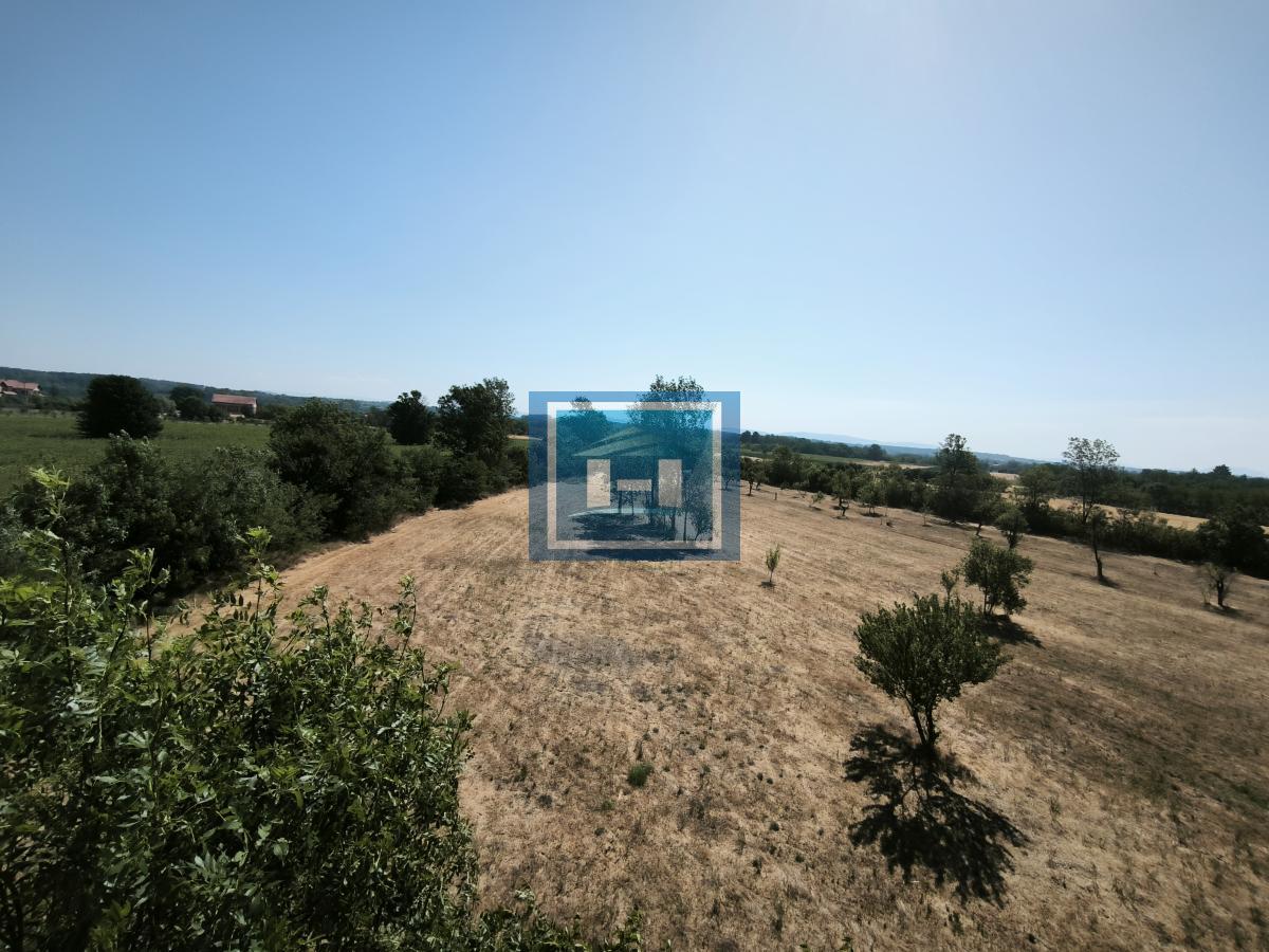 DVE KUĆE + POMOĆNI OBJEKAT NA PLACU OD 116,63 ARA