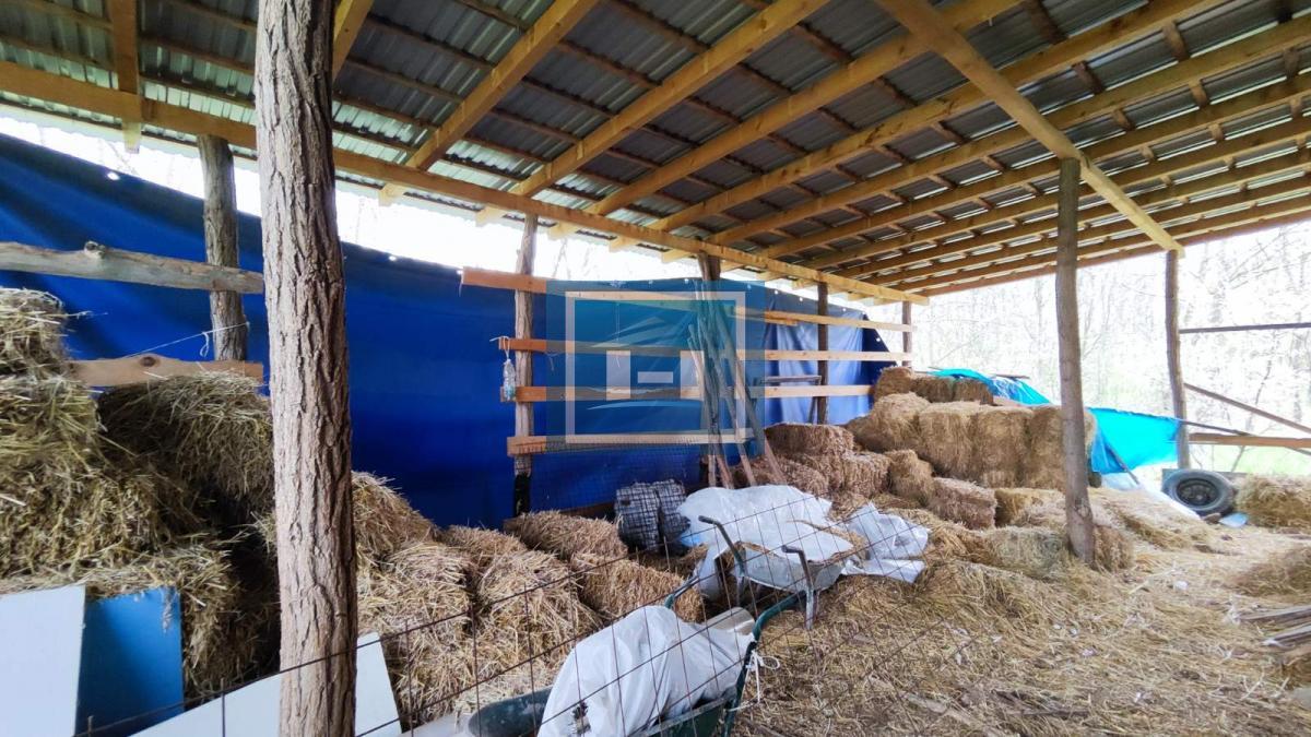 Kuća na parceli od 10 hektara zemlje u okolini Batočine