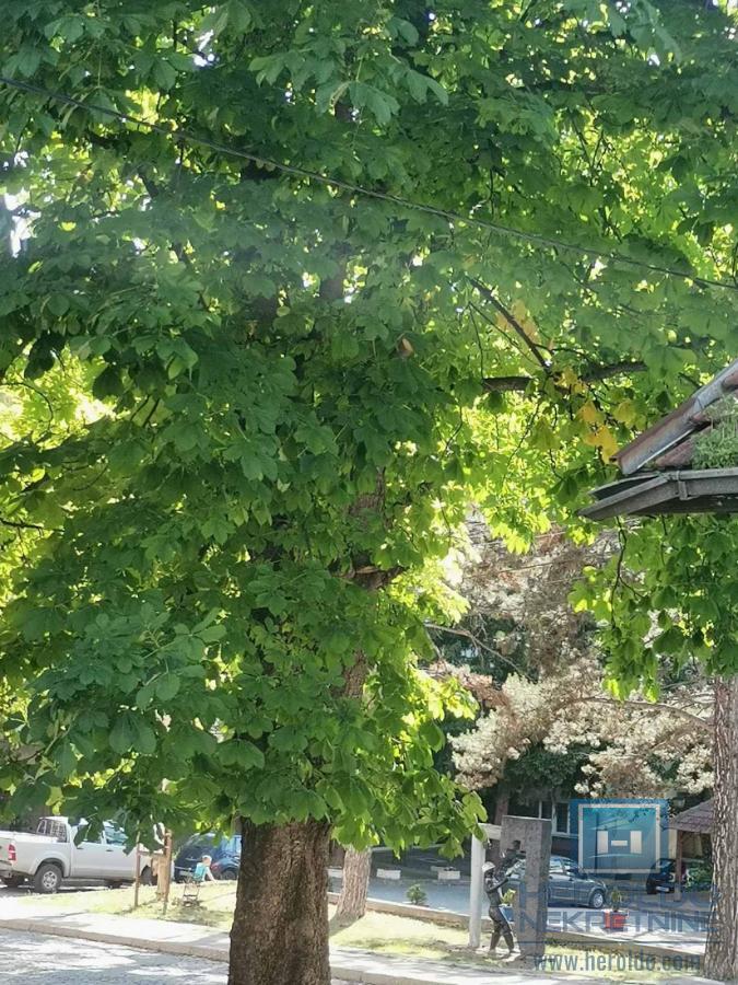 Stan u strogom centru Resavice