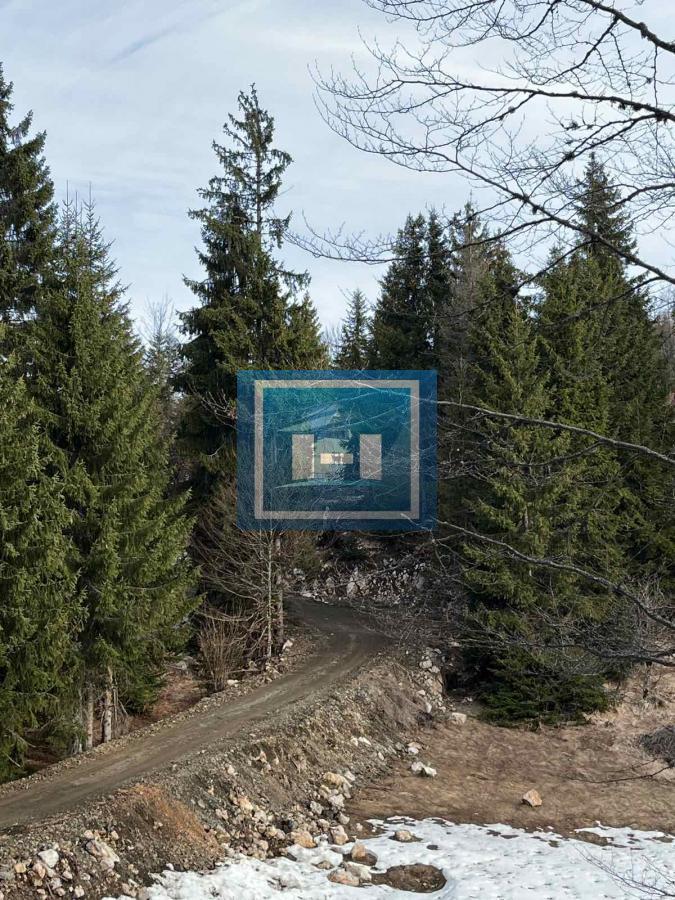 Nova vikendica na Tari