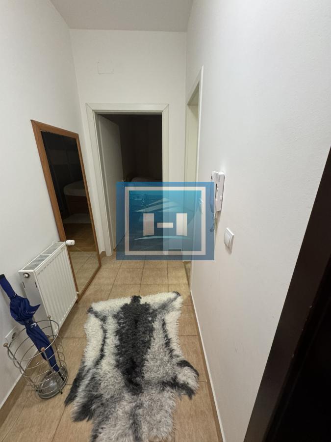 Kompletno namešten stan u Plavuši