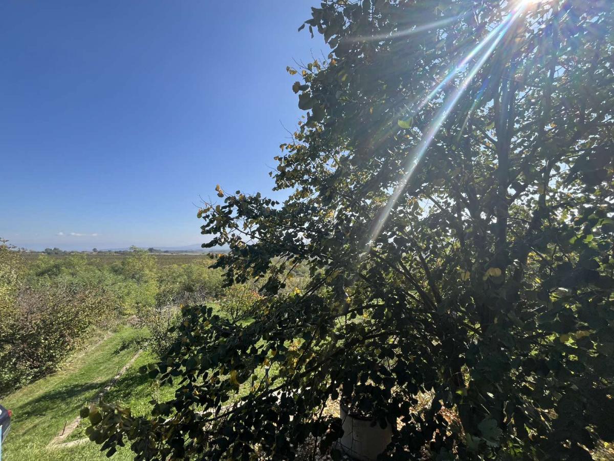 Vikendica sa prelepim pogledom okružena zelenilom.