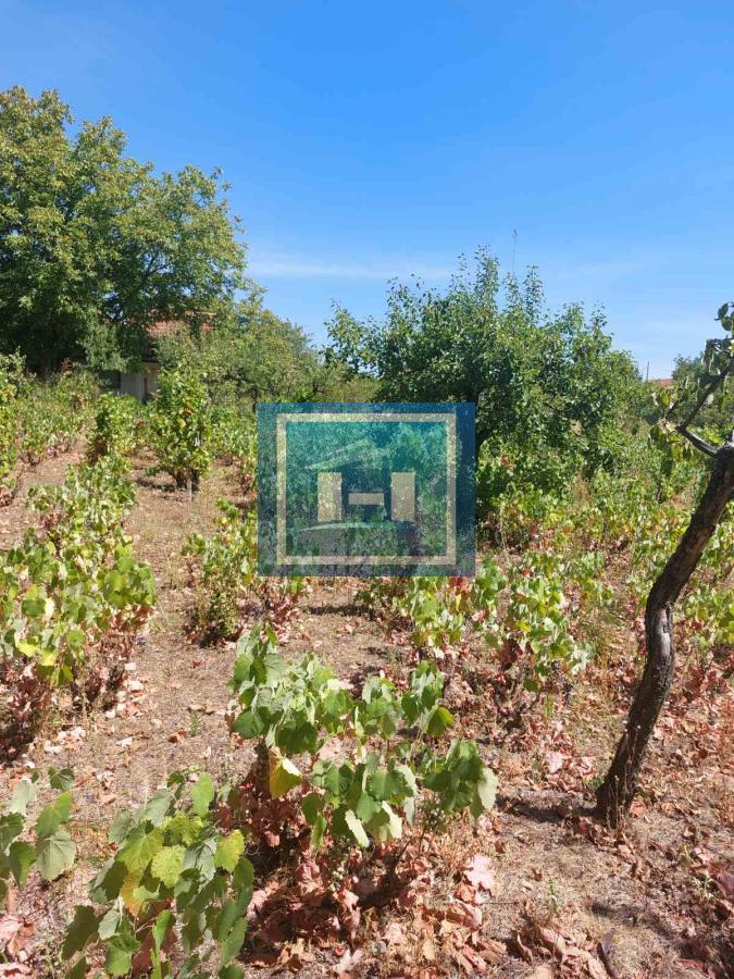 Vinograd -plac u gradjevinskom području
