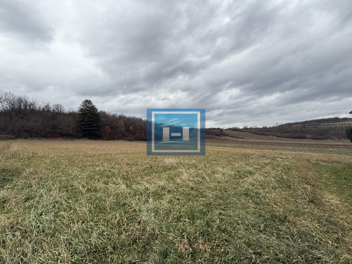 Dve kuće u Glavincima sa velikim imanjem -samo 8 km od grada