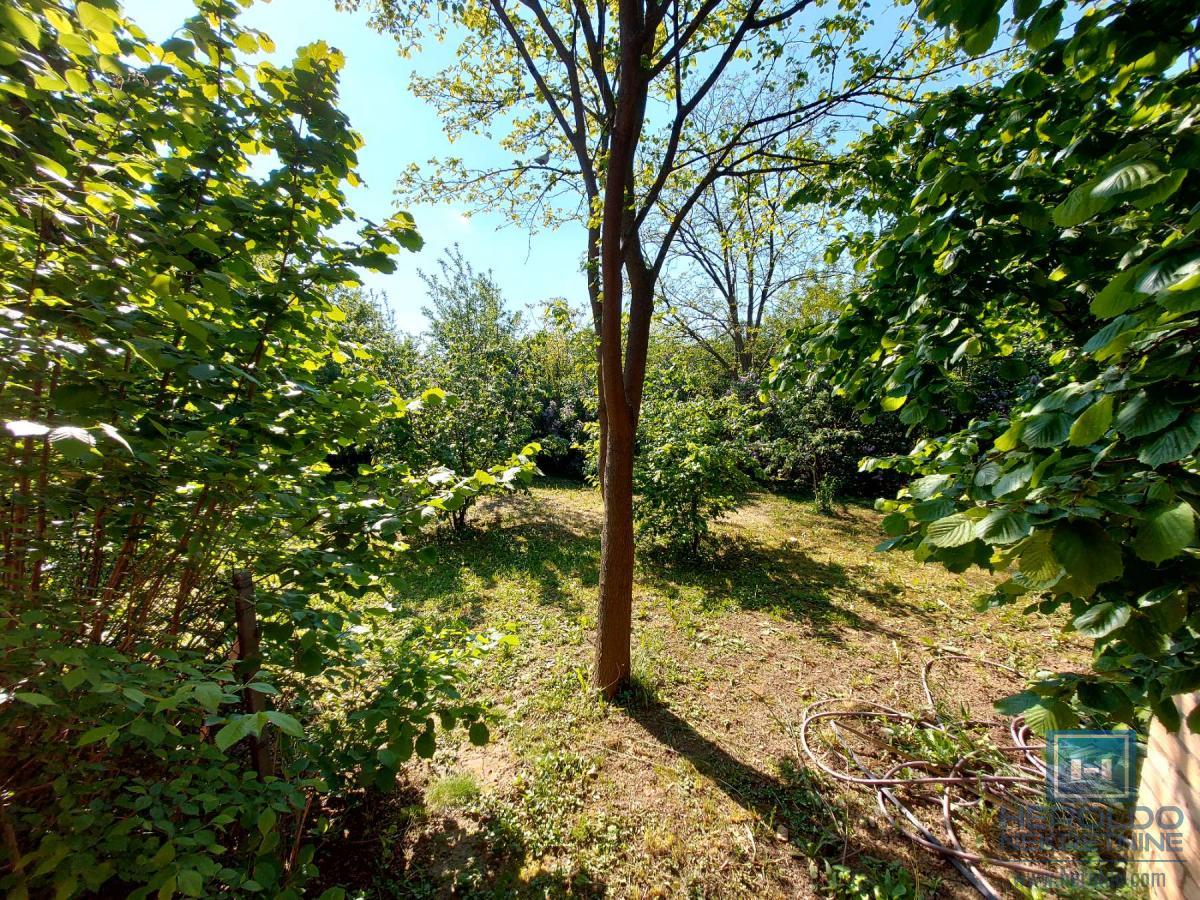 Kuća od 120m2 u naselju Kupusara na 7.39a placa