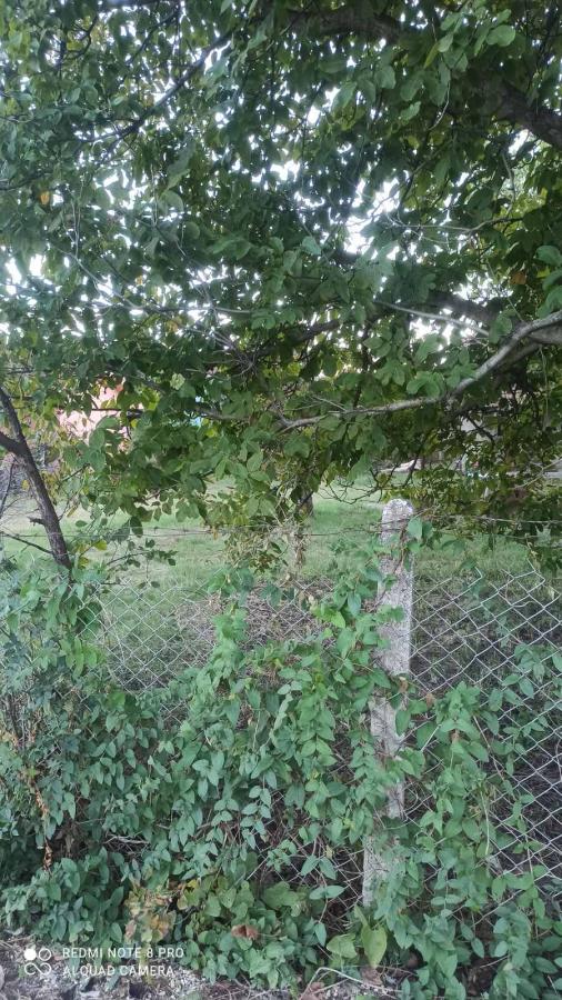 Parcela za izgradnju sa svim priključcima i uknjiženim objektom za adaptaciju u Crvenim livadama