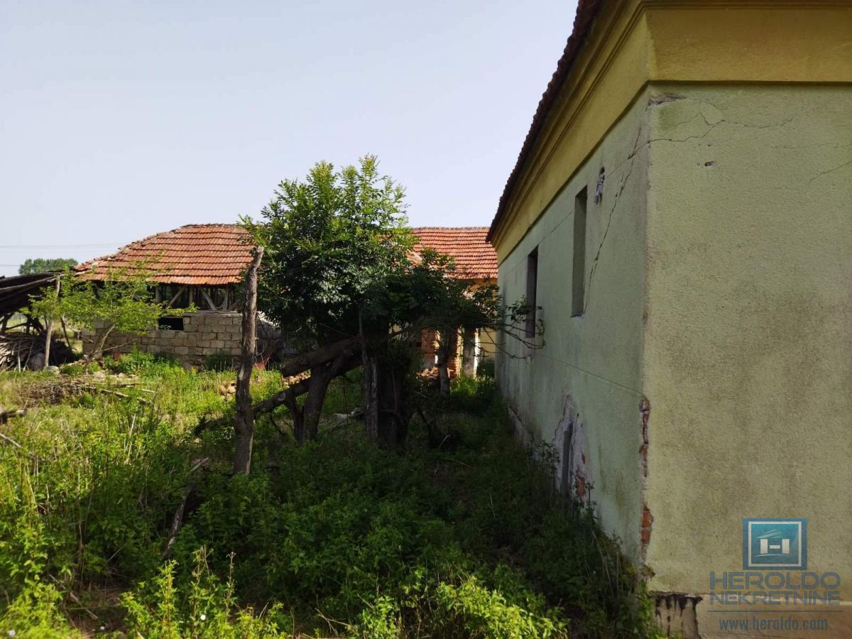 Kompletno seosko domaćinstvo u Tečiću