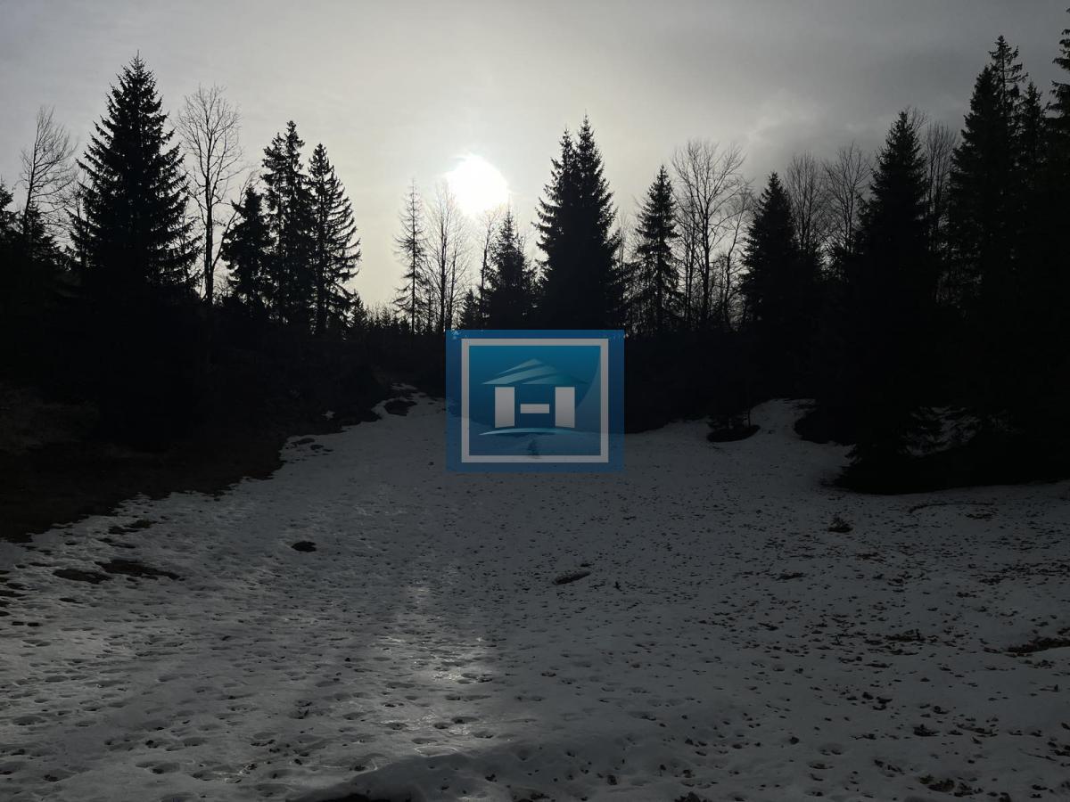 Nova vikendica na Tari