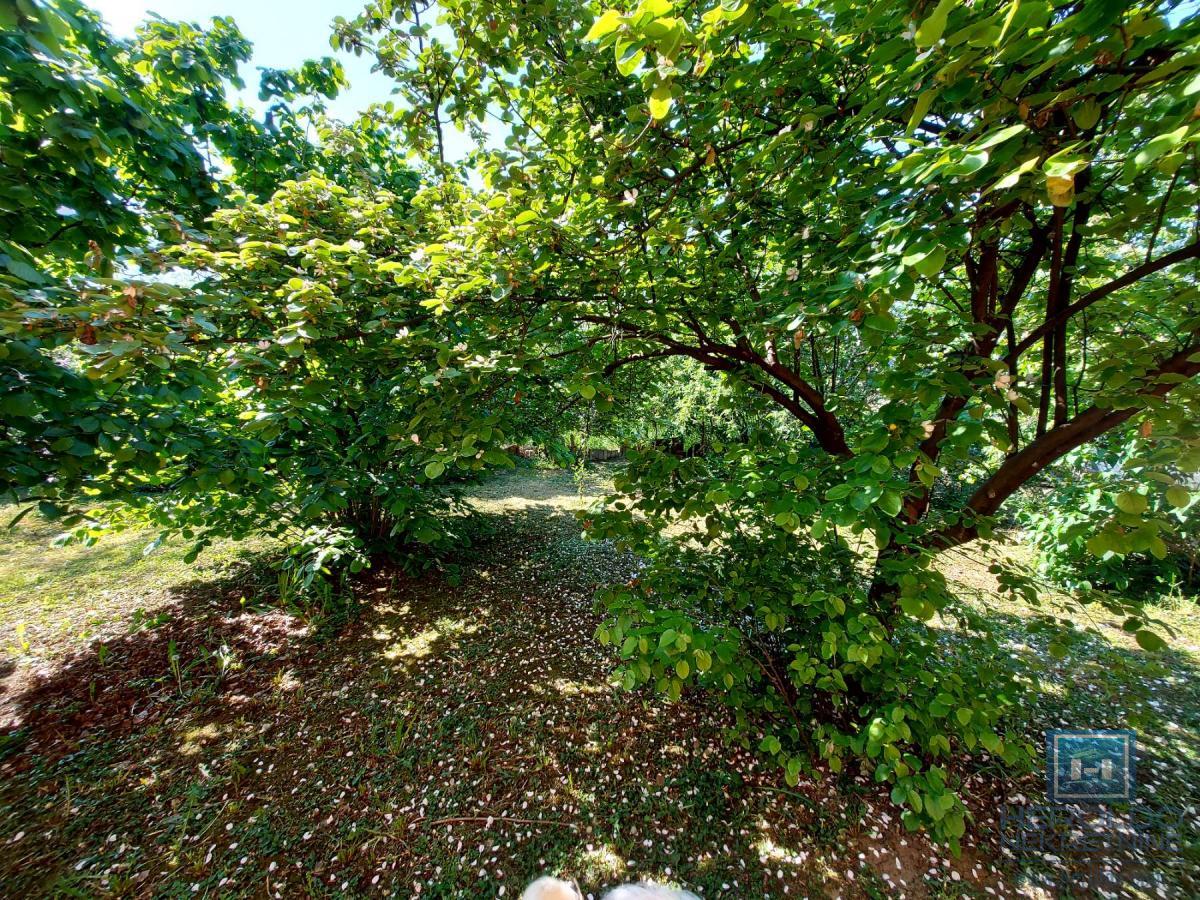 Kuća od 120m2 u naselju Kupusara na 7.39a placa