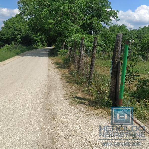 Građevinsko zemljište/Panjevački Rit