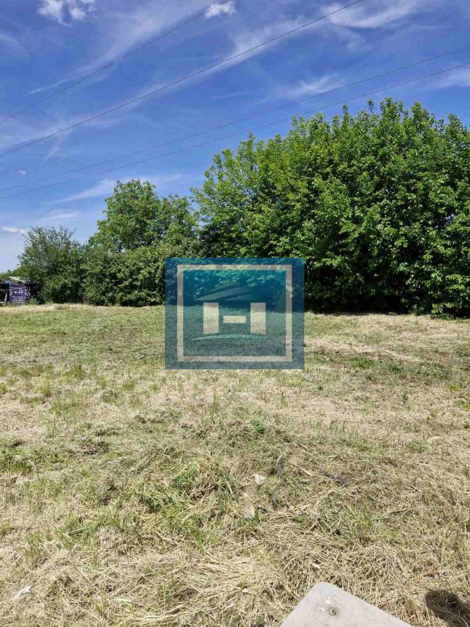 Plac na Sarinoj medji -Kupusara