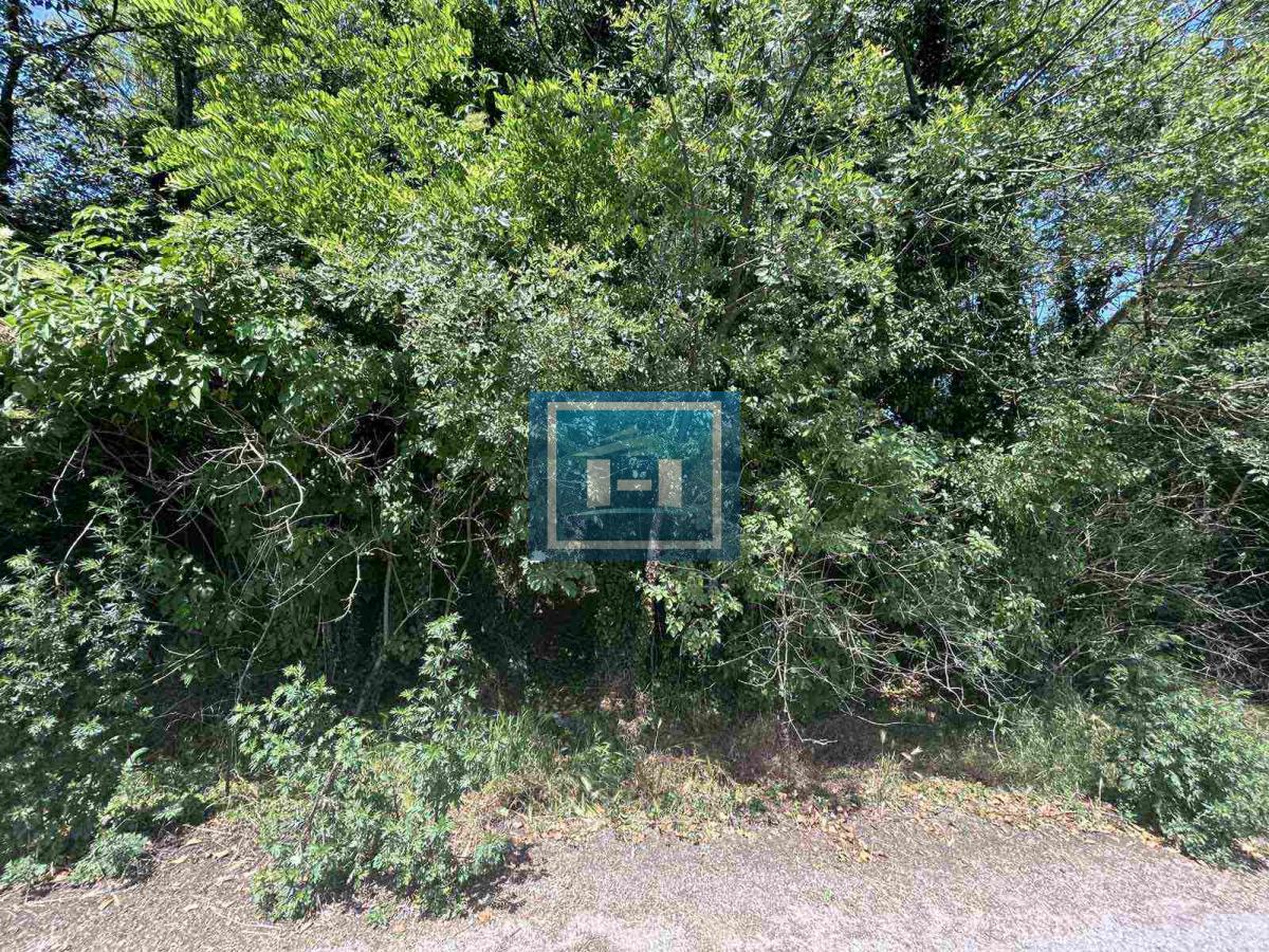 Plac za izgradnju kuće u Lapovu, na parceli stara kuća i započet objekat