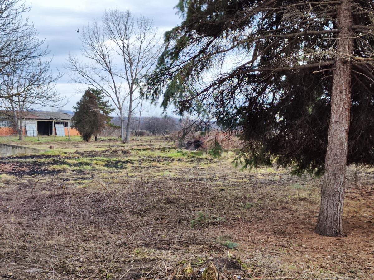 Gradjevinsko zemljište veće površine sa poslovnim objektima na glavnom putu u Glogovcu