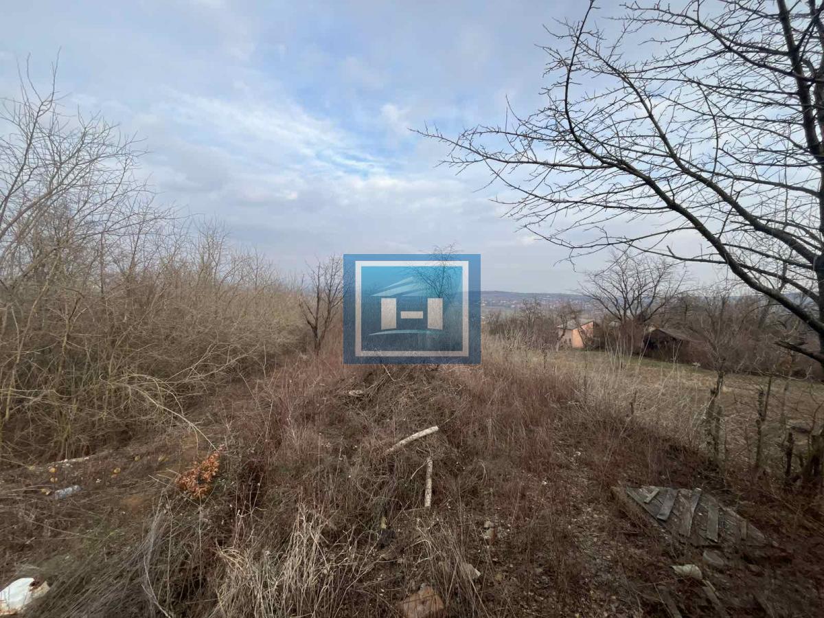 Oaza Mira - Prelepa Vikendica Nadomak Jagodine