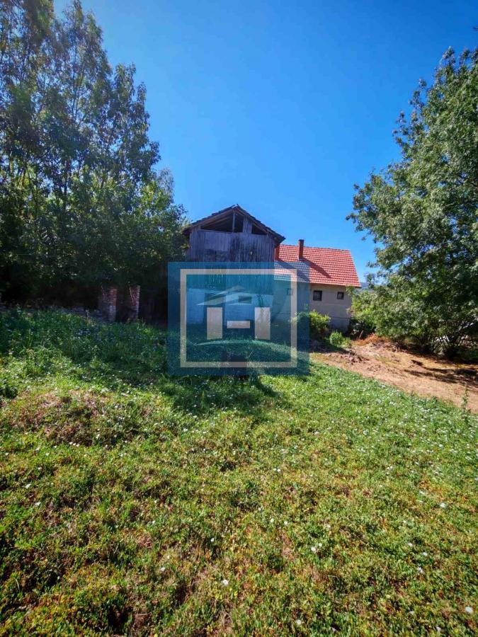 Prodaja kuce u Krivom Viru