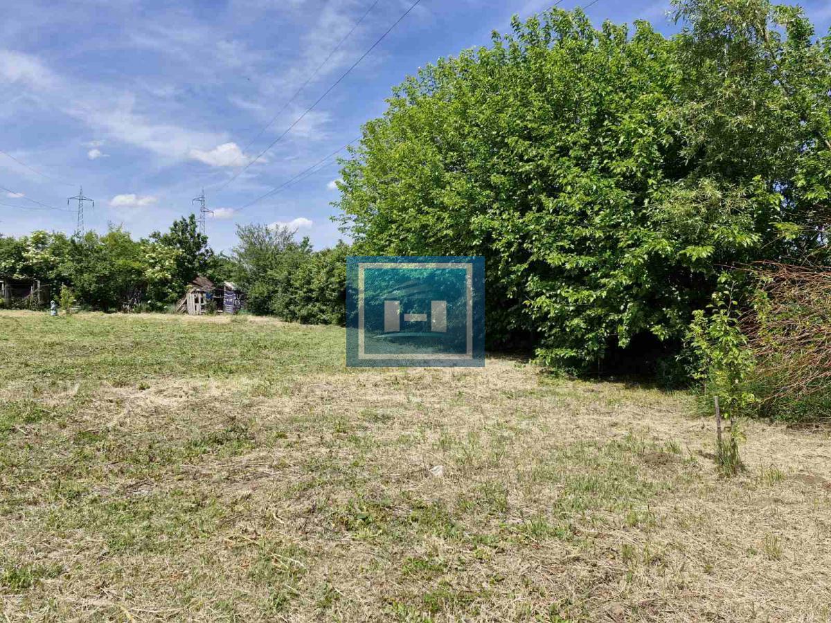 Plac na Sarinoj medji -Kupusara