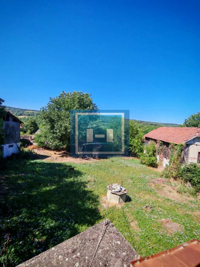 Prodaja kuce u Krivom Viru