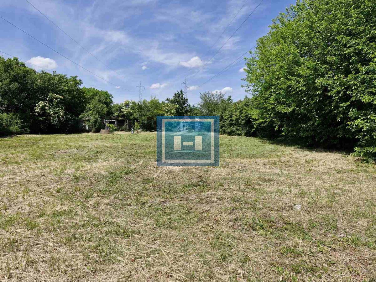 Plac na Sarinoj medji -Kupusara