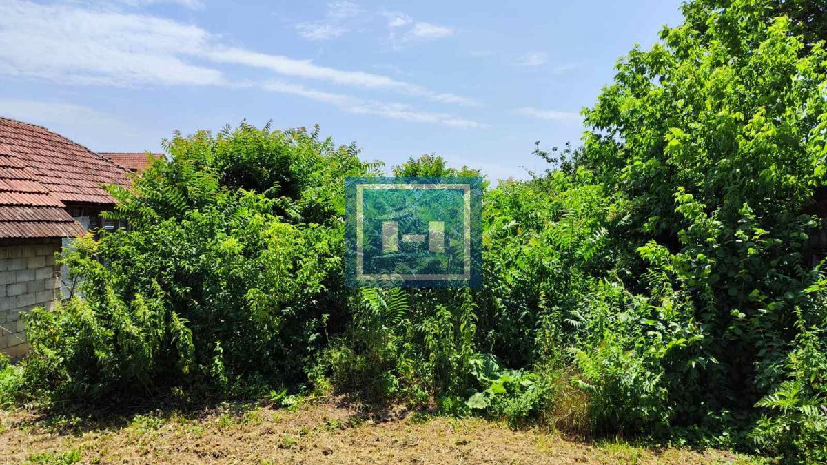 Domaćinstvo u okolini Jagodine sa 4 objekta na prostarom placu od 47 ari