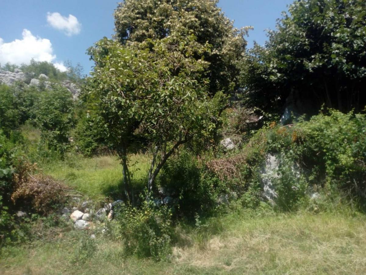 Gallery image 10