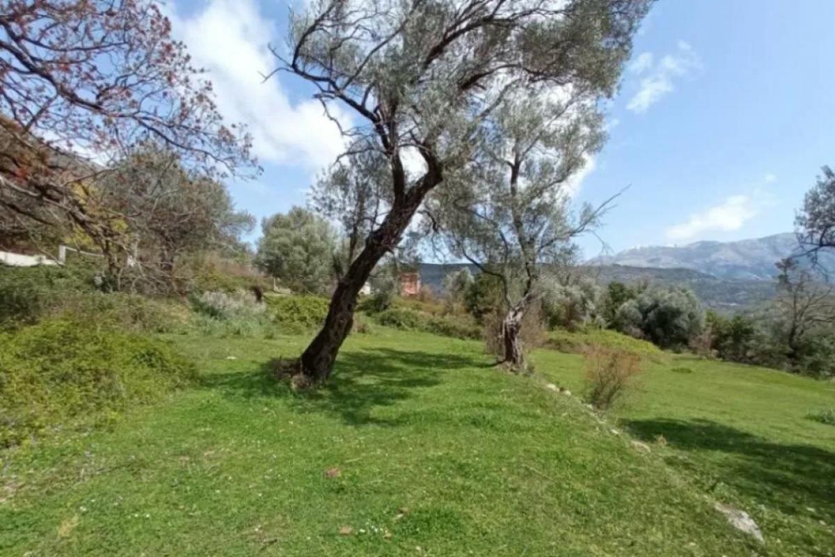 Gallery image 12