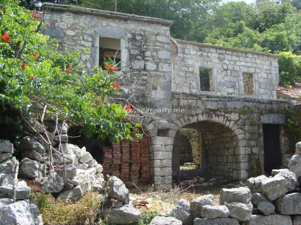 Gallery image 1