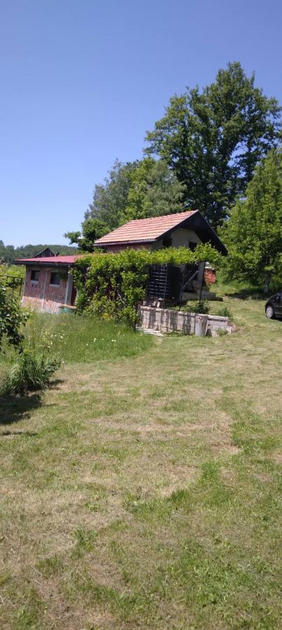 Gallery image 9