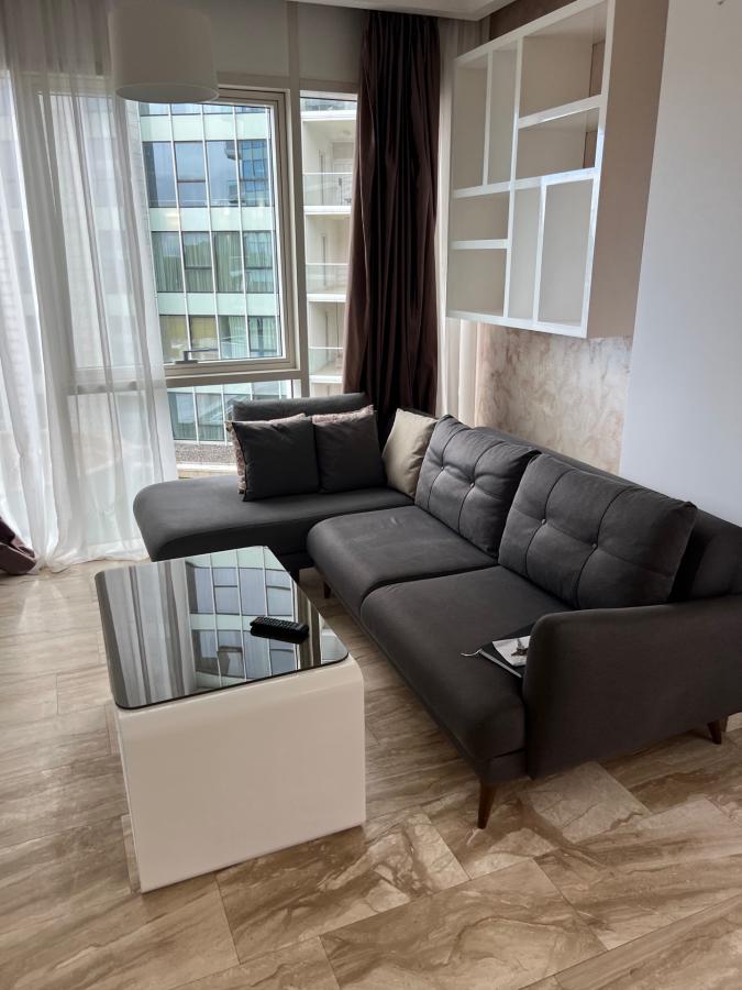 Gallery image 6