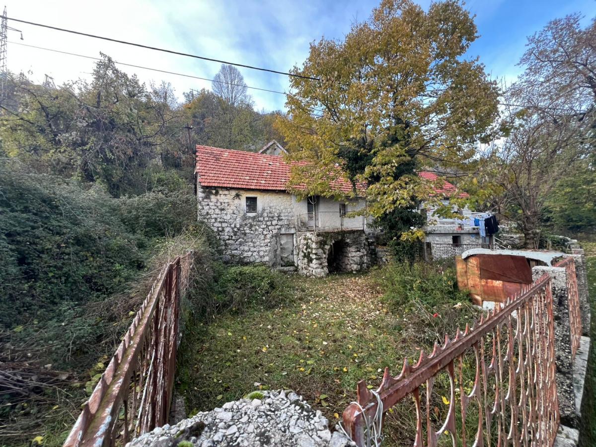 Gallery image 1
