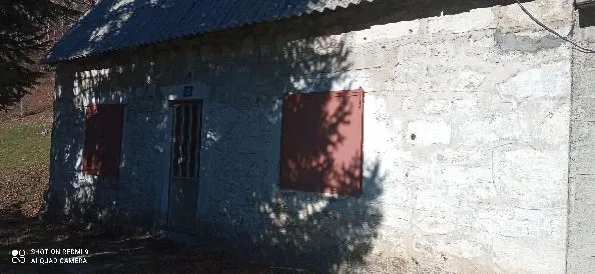 Gallery image 11