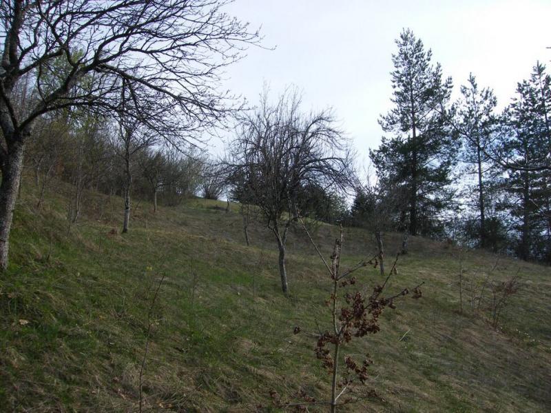 Gallery image 7