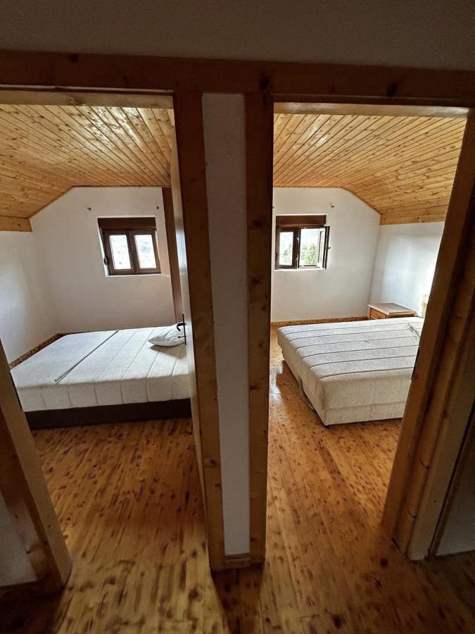 Gallery image 11