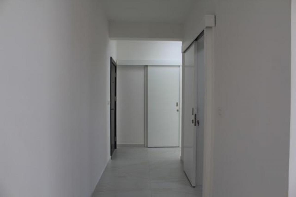 Gallery image 21