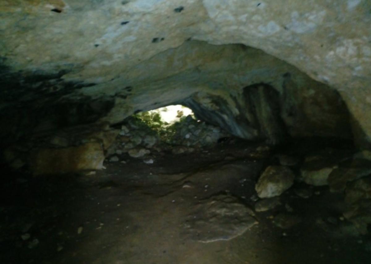 Gallery image 22