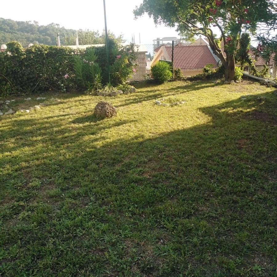 Gallery image 9