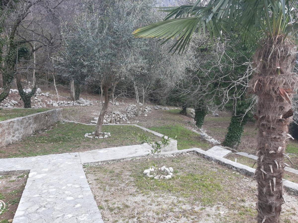 Gallery image 11